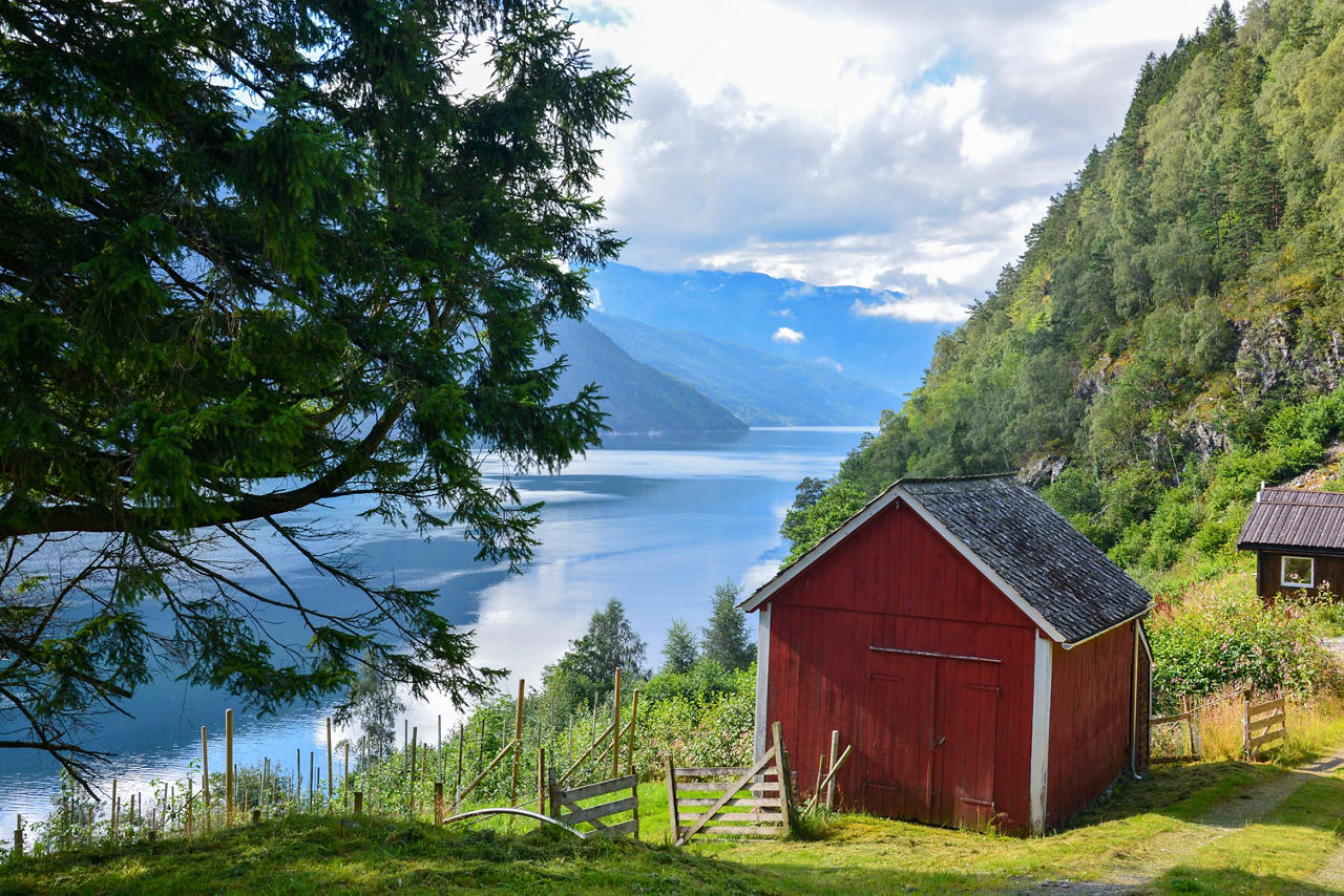 Cabin in Hardangerfjord, Ulvik | MSC Cruises