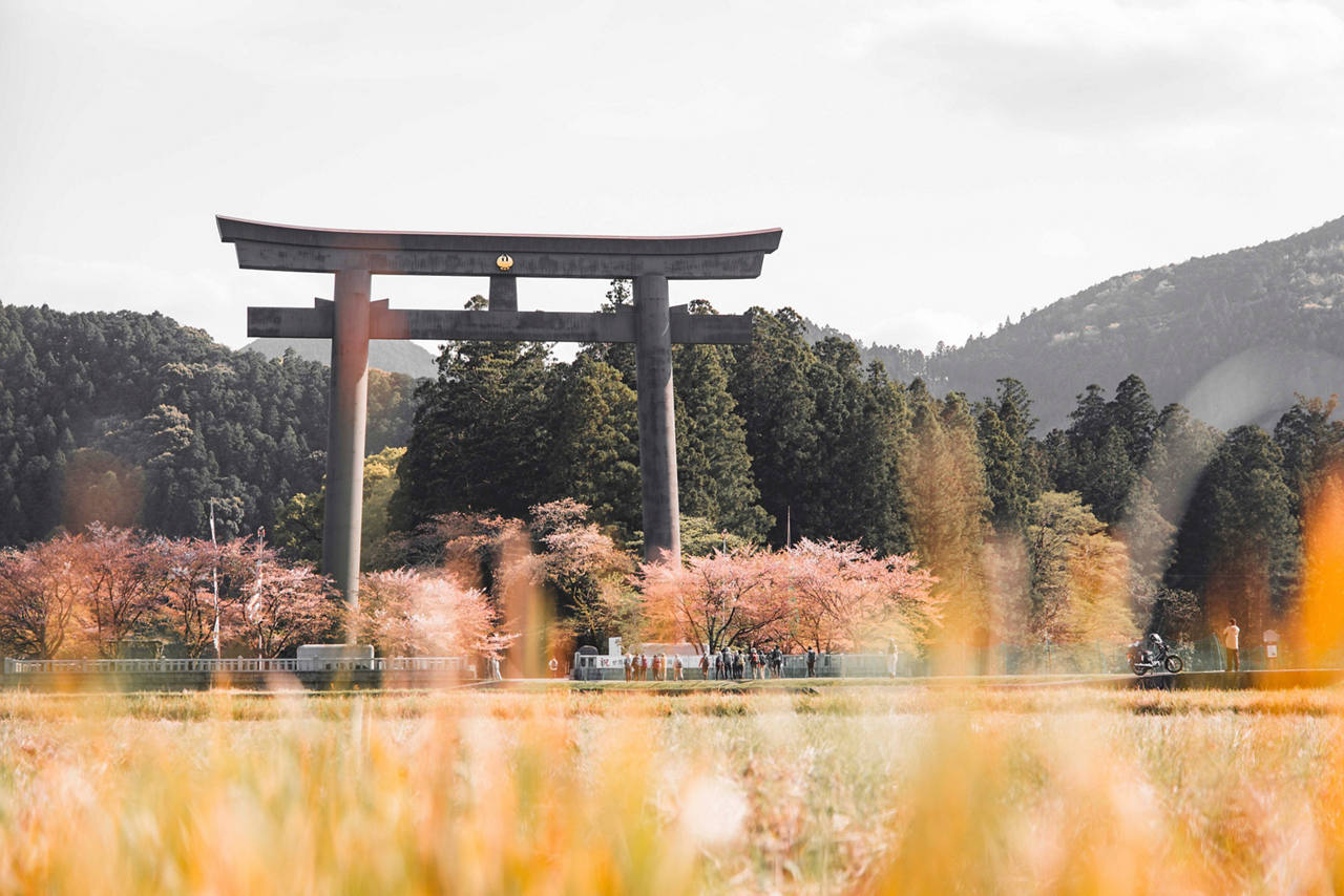 Kumano cruise, Japan | MSC Cruises