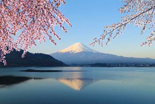 View of iconic Mount Fuji in spring | MSC Cruises