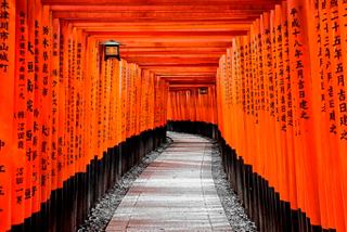 Il sentiero fiancheggiato da torii rossi conduce al santuario Fushimi Inari-Taisha | MSC Crociere