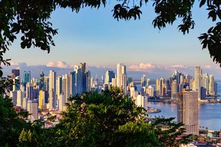 Vista de la ciudad de Panamá desde el bosque | MSC Cruceros