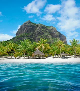 Una playa con palmeras y montañas al fondo, un destino de vacaciones ideal | MSC Cruceros