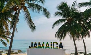 Palmen und das Wort „Jamaika“ am Strand, das ein tropisches Flair ausstrahlt | MSC Cruises