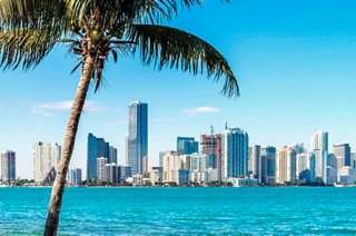 A vibrant Miami skyline framed by a palm tree against the blue sea | MSC Cruises