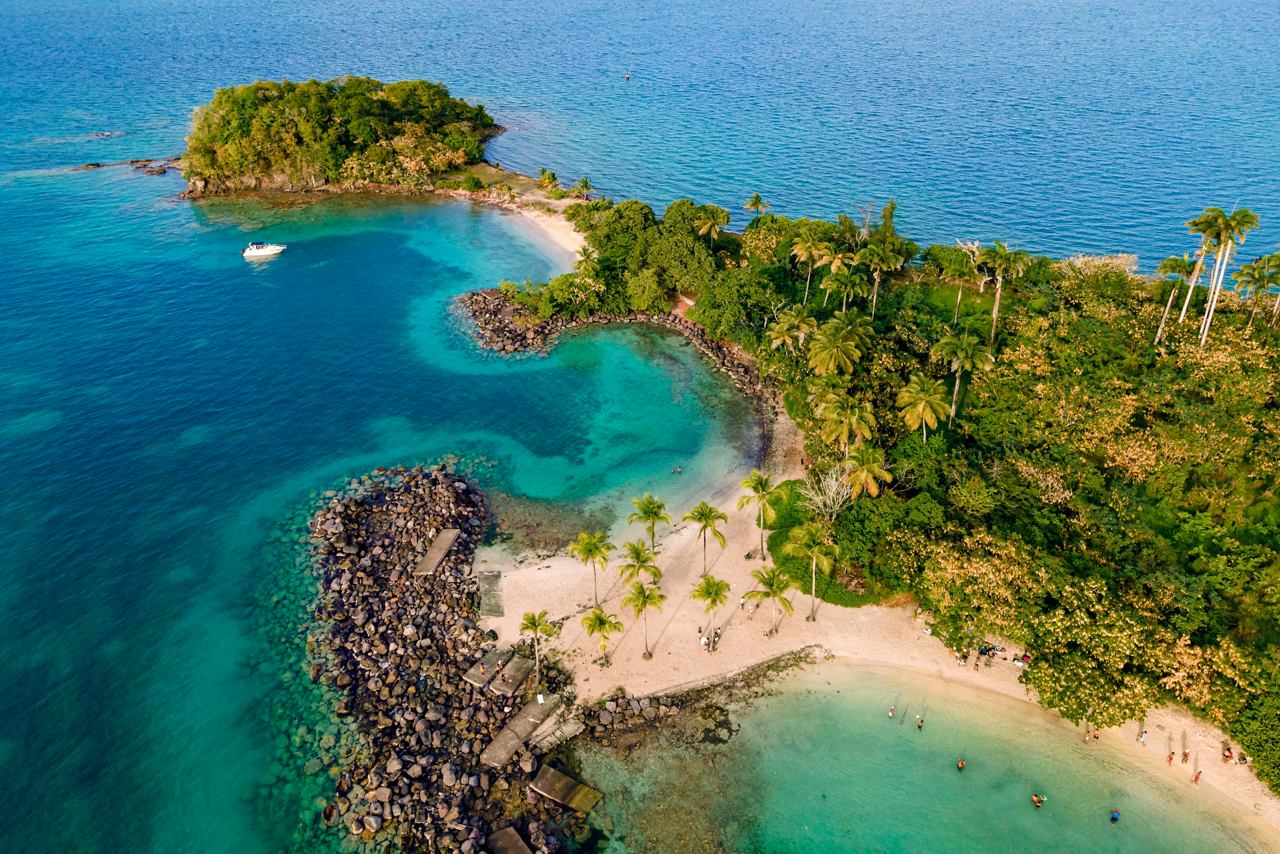 Luftaufnahme einer üppig grünen Insel mit Palmen und klarem blauen Wasser, die die Schönheit von Martinique zeigt | MSC Cruises