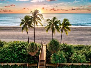 Ein ruhiger Sonnenaufgang über dem Hollywood Beach in Miami, mit Palmen, die den Blick auf das Meer rahmen | MSC Cruises