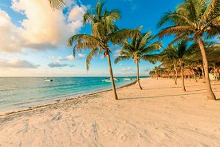 Une plage sereine à Costa Maya avec du sable doux, des palmiers dansants et une mer bleue tranquille sous un ciel lumineux | MSC Croisières