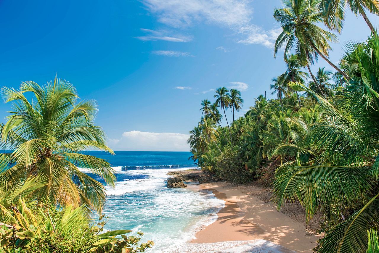 Une plage sereine au Costa Rica avec des palmiers et des vagues douces sous un ciel bleu clair | MSC Croisières