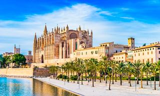 La magnifique cathédrale de La Seu se dresse majestueusement au bord de l'eau à Palma de Majorque, entourée de palmiers | MSC Croisières
