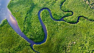 Aerial view of a winding river flowing through lush vegetation in the Daintree Rainforest, Australia | MSC Cruises