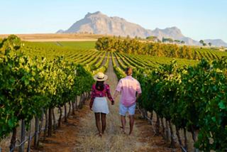 A couple strolls through a vineyard with mountains in the background under a clear blue sky | MSC Cruises
