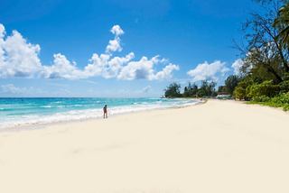 A serene view of Accra Beach in Barbados with soft sand, gentle waves, and lush palm trees under a clear blue sky | MSC Cruises