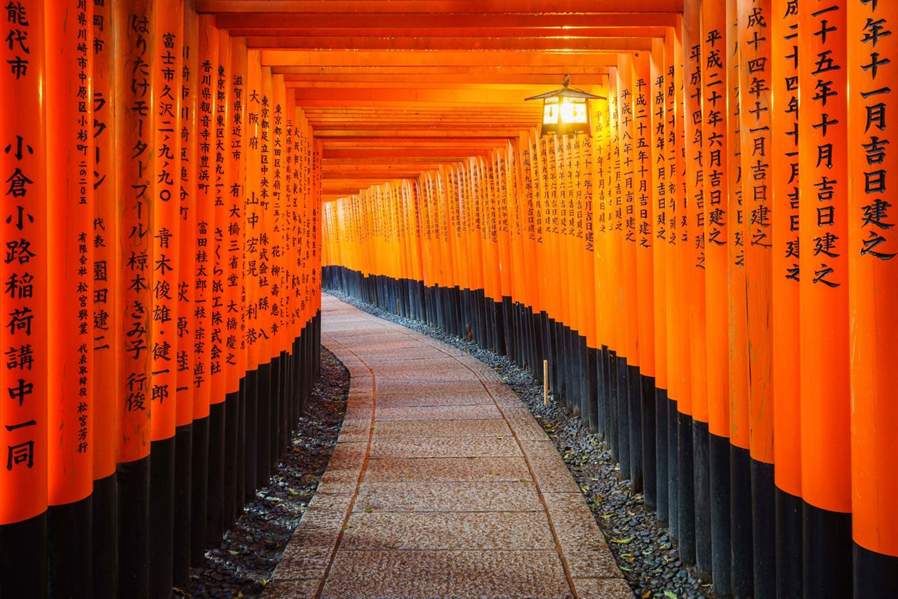 Ein gewundener Weg durch lebendige Torii-Tore am Fushimi Inari-Taisha-Schrein in Kyoto, Japan | MSC Cruises