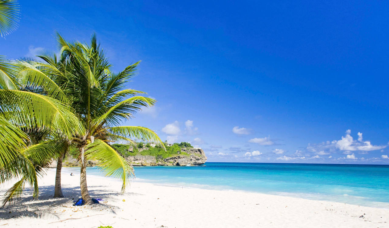A serene beach scene with palm trees, clear blue sea, and bright sky in Barbados | MSC Cruises