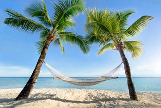 Una scena di spiaggia serena con palme che incorniciano un'amaca, invitando al relax sotto un cielo sereno vicino al mare | MSC Crociere