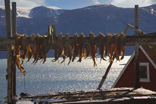 Dried fish hangs between wooden beams, with mountains and a serene sea in the background | MSC Cruises