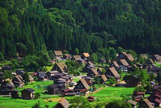 A serene view of traditional Japanese village huts nestled in lush greenery surrounded by forest | MSC Cruises
