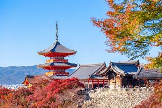 A stunning pagoda surrounded by vibrant autumn foliage set against a clear blue sky in Japan | MSC Cruises