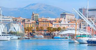 Scena vibrante del porto di Genova con palme e edifici sullo sfondo di un bellissimo Mediterraneo | MSC Crociere