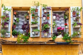 Charming windows adorned with vibrant flowers in the heart of Aix-en-Provence, France | MSC Cruises