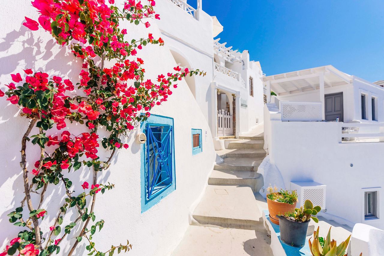 Une rue pittoresque de Santorin ornée de fleurs vibrantes et de maisons blanchies à la chaux sous un ciel bleu clair | MSC Cruises