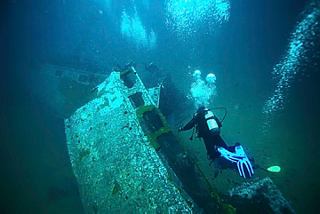 A diver exploring a vibrant underwater shipwreck in Bermuda, surrounded by marine life | MSC Cruises
