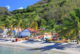 A vibrant beach scene in Fort-de-France, Martinique, featuring palm trees and colourful buildings beside the water | MSC Cruises