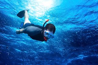 A snorkeller explores the vibrant underwater world of Carlisle Bay in Barbados, surrounded by clear blue waters | MSC Cruises