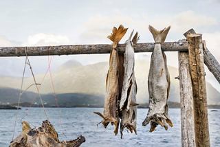 Dried codfish hanging from a wooden stick, overlooking serene waters in Flaam, Norway | MSC Cruises