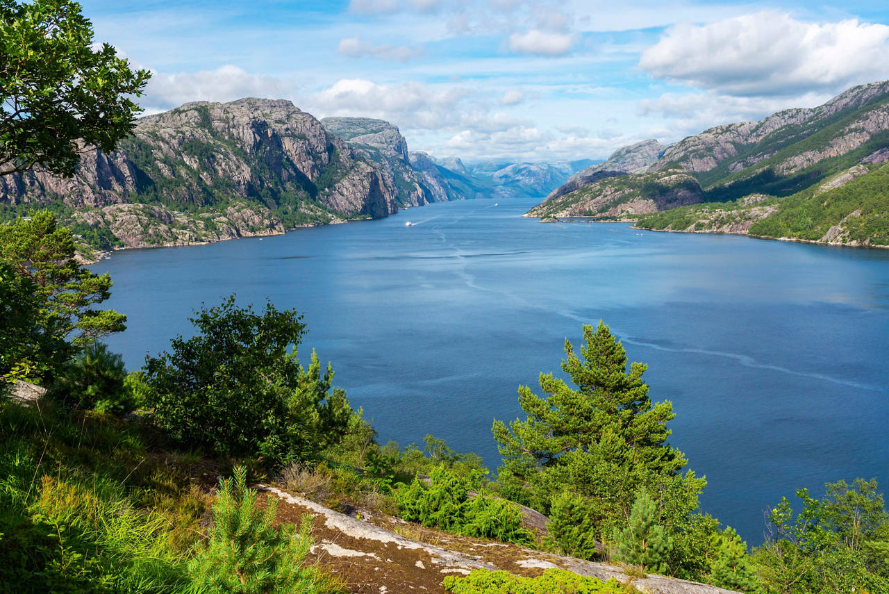 A breathtaking view of the tranquil Lysefjord surrounded by majestic mountains and lush greenery | MSC Cruises