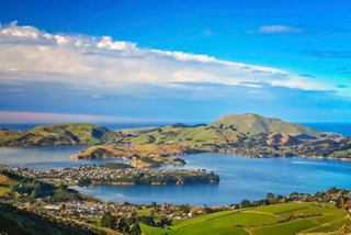 A panoramic view of Dunedin's hills meeting the sea against a bright blue sky | MSC Cruises