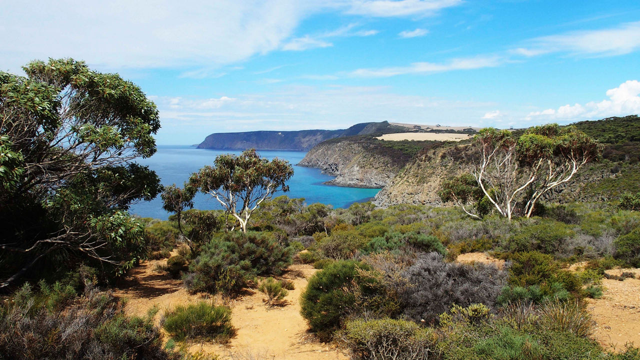 Penneshaw cruise, Australia | MSC Cruises