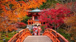 Una mujer en yukata camina sobre un puente rodeado de vibrante follaje otoñal en el templo Daigo-ji en Japón | MSC Cruceros