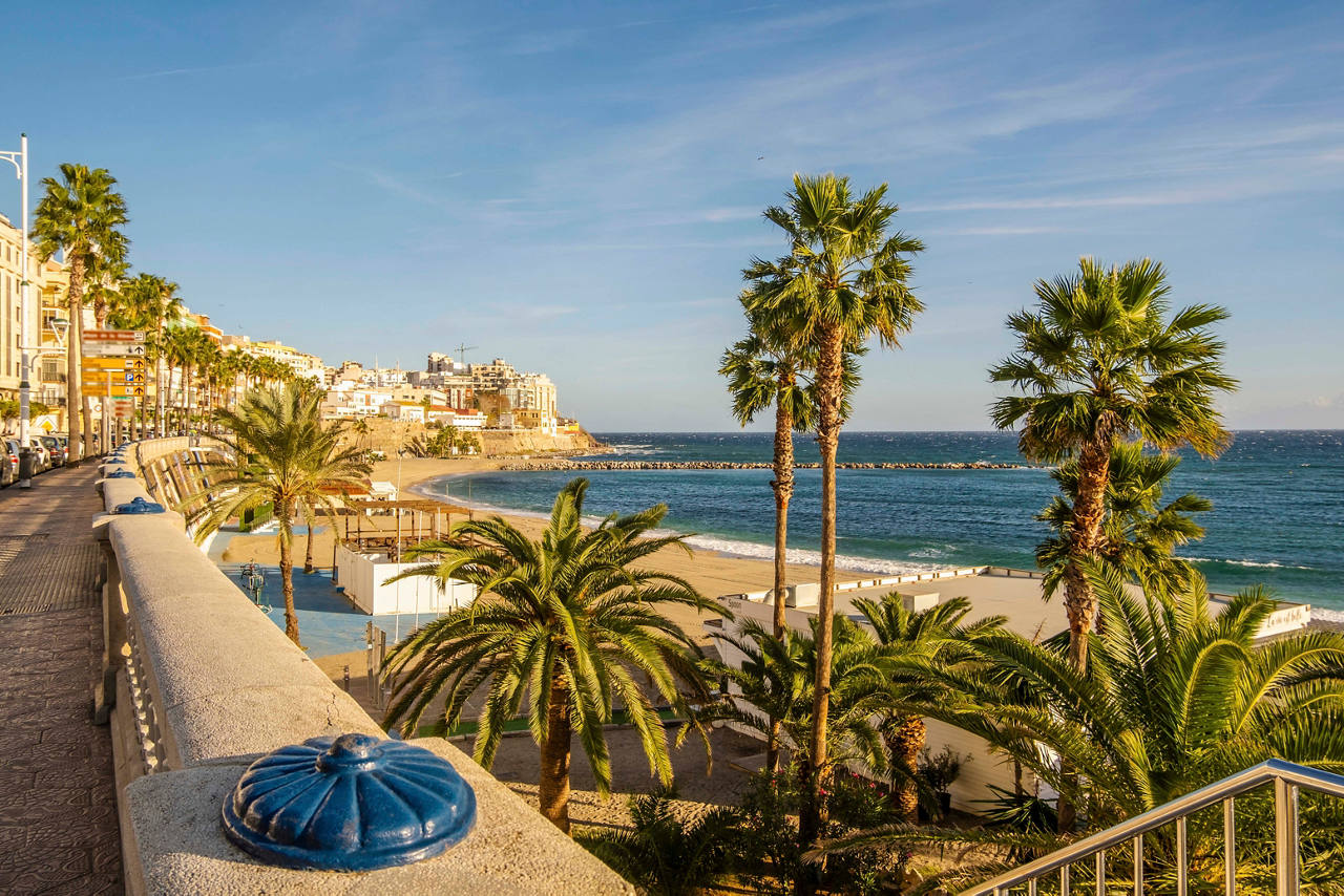 Una vista escénica de un paseo junto al mar en Ceuta, con palmeras y la costa mediterránea | MSC Cruceros