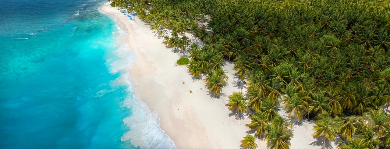 Eine atemberaubende Aussicht auf einen Strand mit klarem blauen Wasser und üppigen Palmen in der Dominikanischen Republik | MSC Cruises