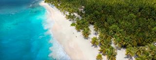 Eine atemberaubende Aussicht auf einen Strand mit klarem blauen Wasser und üppigen Palmen in der Dominikanischen Republik | MSC Cruises