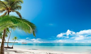 Une plage paisible en République dominicaine avec des palmiers et une mer bleue claire, idéale pour des excursions relaxantes | MSC Croisières