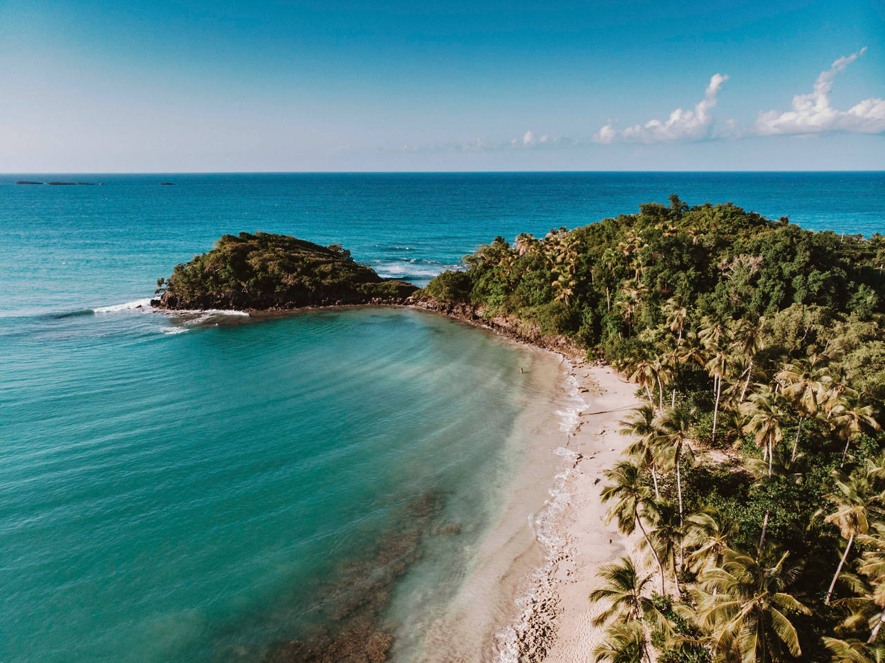 A stunning view of Samana Bay, showcasing a pristine beach lined with palm trees and crystal-clear sea | MSC Cruises