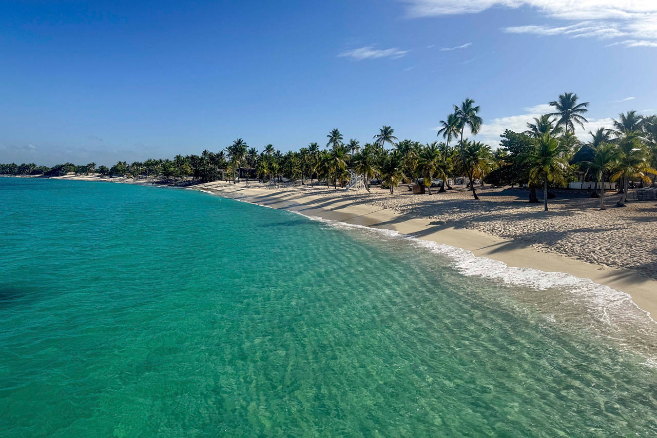 A serene beach with clear turquoise waters and palm trees swaying in the breeze on Catalina Island, Dominican Republic | MSC Cruises