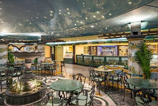 A welcoming lounge area with seating, a bar counter, and decorative plants on MSC Splendida | MSC Cruises