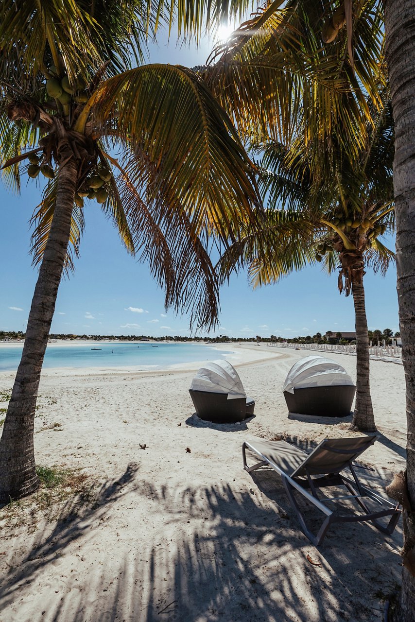 Eine friedliche Strandszene mit Palmen, Liegen und dem ruhigen Karibischen Meer im Hintergrund | MSC Cruises