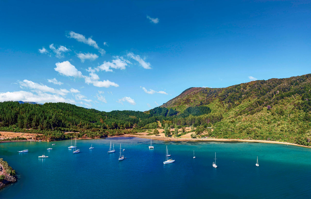 Picton, New Zealand | MSC Cruises