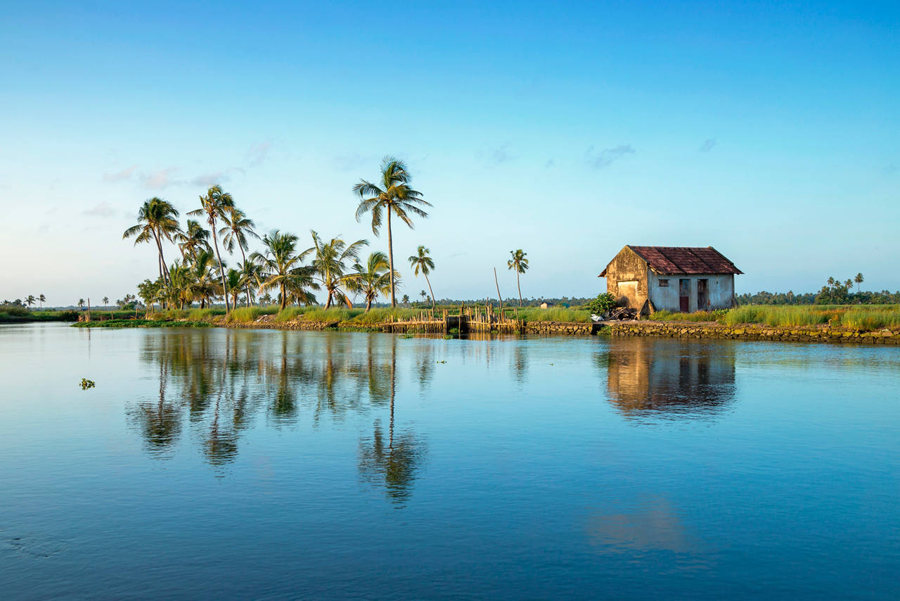 Cochin, India | MSC Cruises