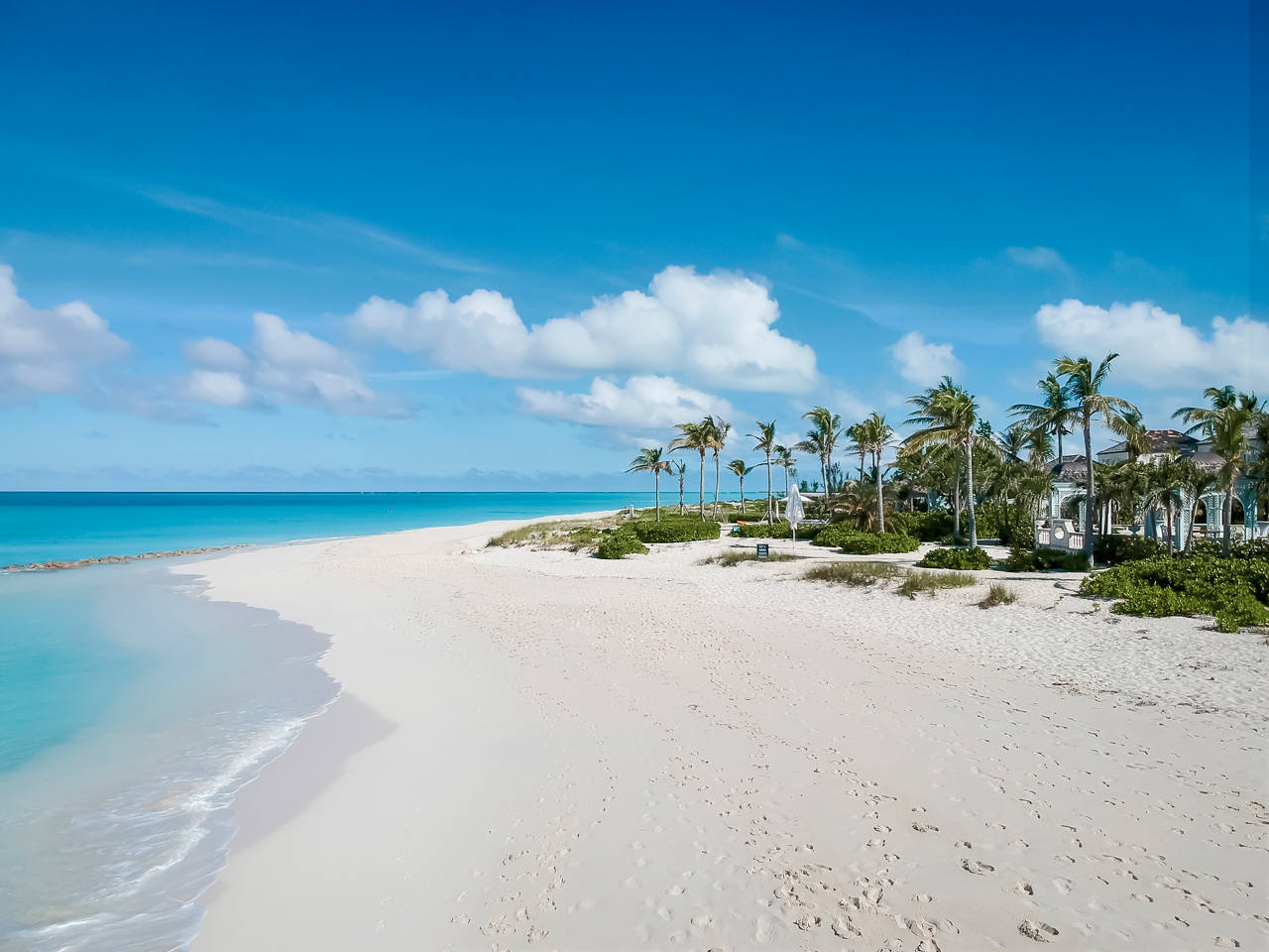 White sandy beach with palm trees and clear blue water under a bright sky | MSC Cruises