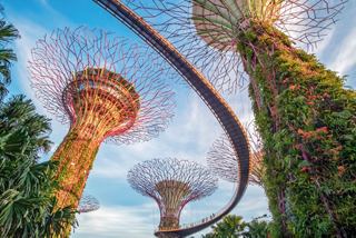 Stunning supertrees with flowers in Singapore, part of the Gardens by the Bay | MSC Cruises