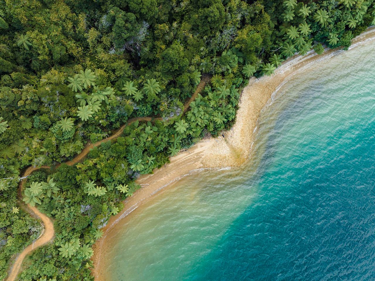 Aerial view of a beach and lush vegetation in New Zealand | MSC Cruises
