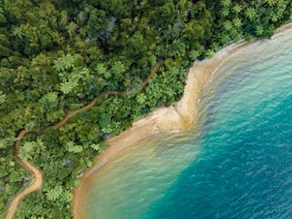 Aerial view of a beach and lush vegetation in New Zealand | MSC Cruises
