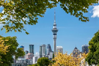 Sky Tower rises above the trees in Auckland, showcasing New Zealand's vibrant skyline | MSC Cruises
