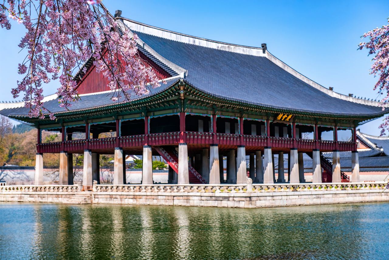 Pabellón tradicional coreano junto a un lago, rodeado de cerezos en flor. | MSC Cruceros