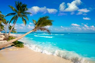 Plage avec des palmiers et des eaux bleues tranquilles dans les Caraïbes | MSC Croisières